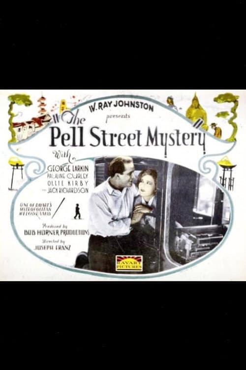 The Pell Street Mystery (1924) poster