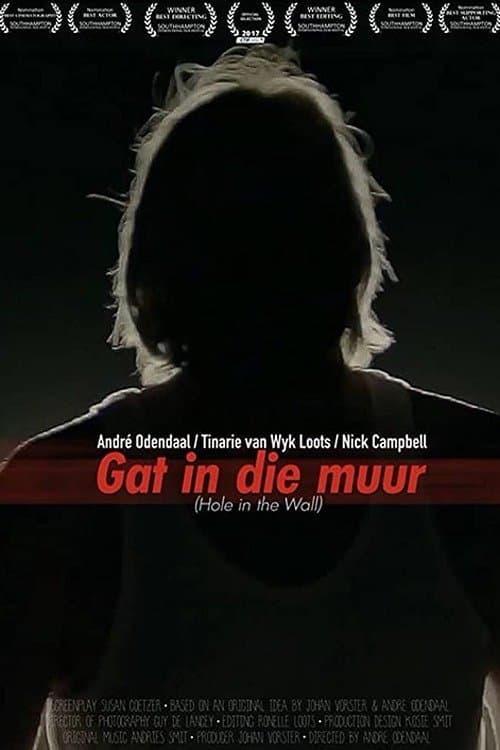 Gat In Die Muur (2017) poster