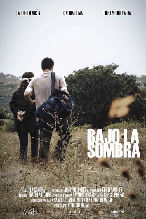 Bajo la sombra (2020) poster