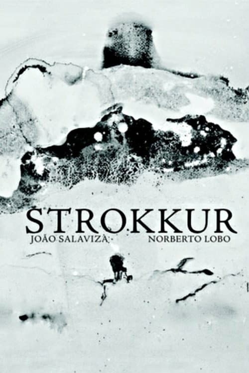 Strokkur (2011) poster