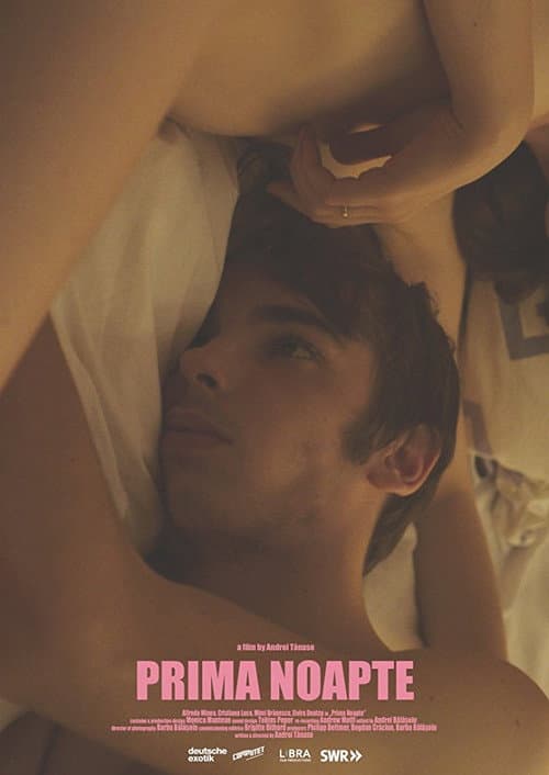 Prima noapte (2016) poster