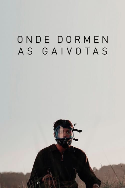 Onde dormen as gaivotas (2020) poster