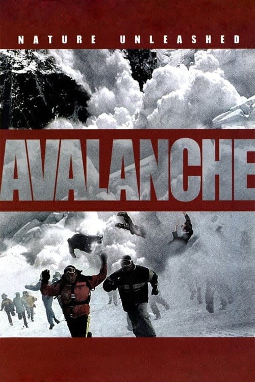 Nature Unleashed: Avalanche (2004) poster