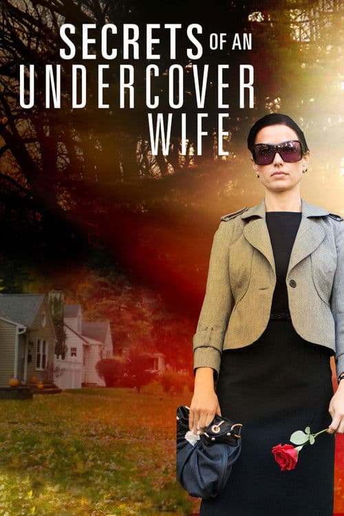Secrets of an Undercover Wife (2007) poster