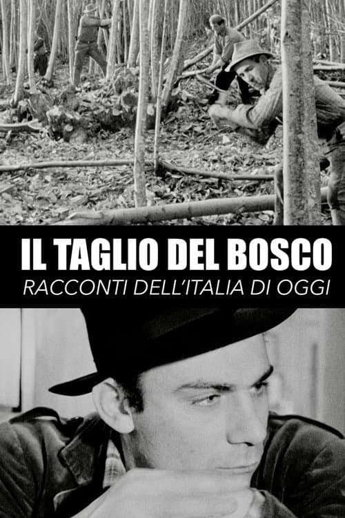Il taglio del bosco (1963) poster