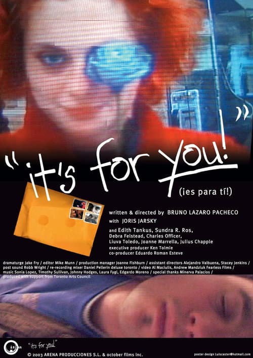 it's for you! (2004) poster