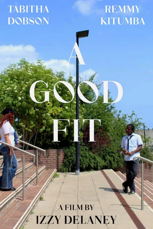 A GOOD FIT (2025) poster