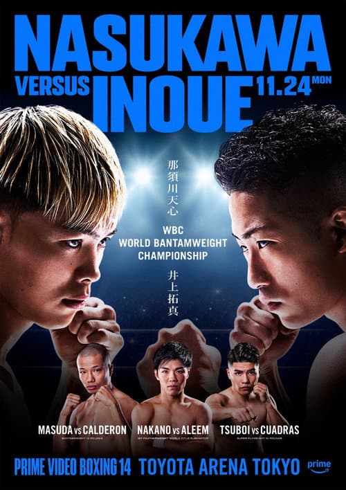 PRIME VIDEO BOXING 14 (2025) poster