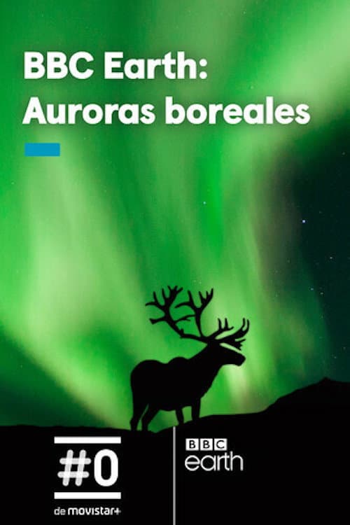 Gordon's Northern Lights Adventure (2017) poster