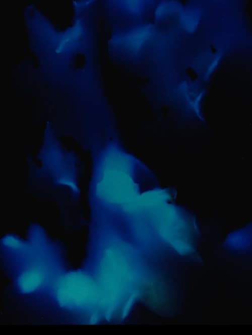 The solemn admonition of your breathing (2020) poster