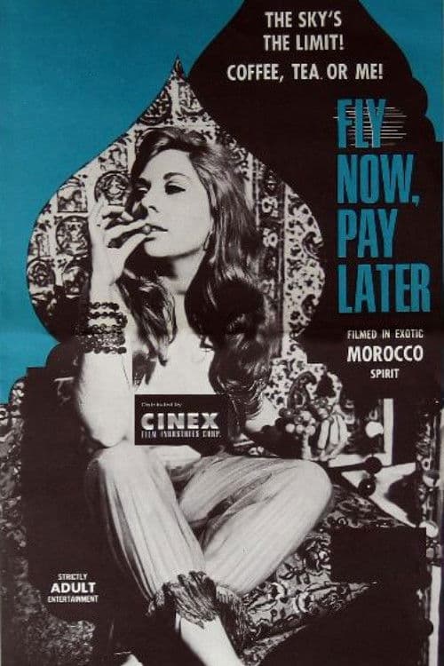 Fly Now Pay Later (1969) poster