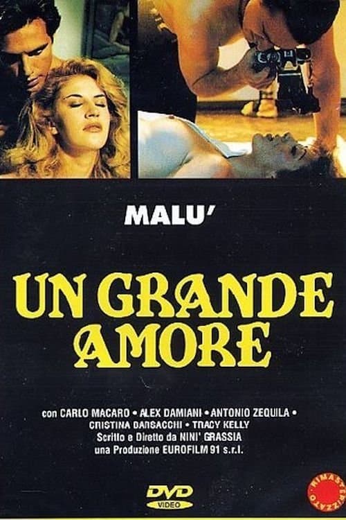 Un grande amore (1995) poster