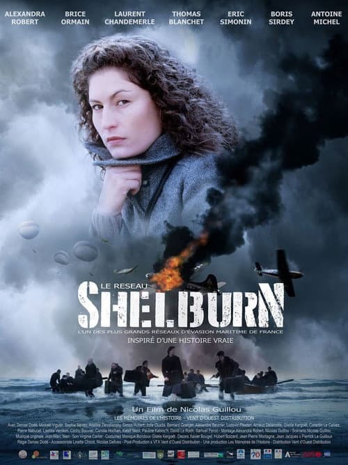 Le réseau Shelburn (2020) poster