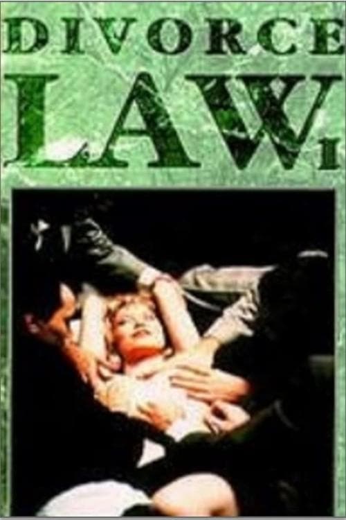 Divorce Law (1993) poster