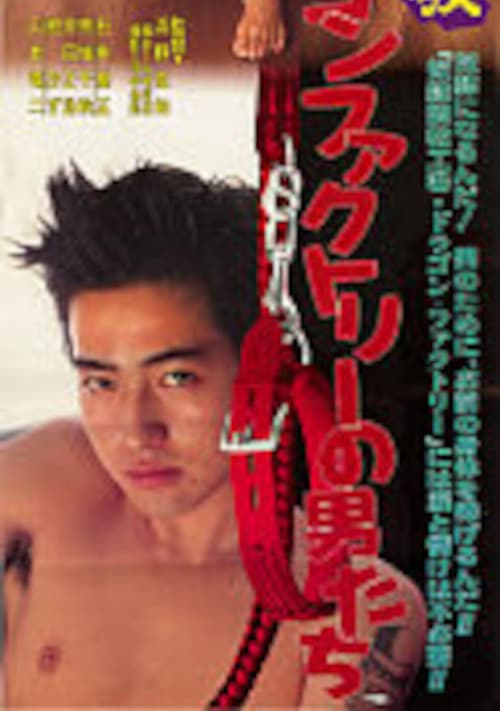 奴隷調教 ドラゴンファクトリーの男たち (1991) poster