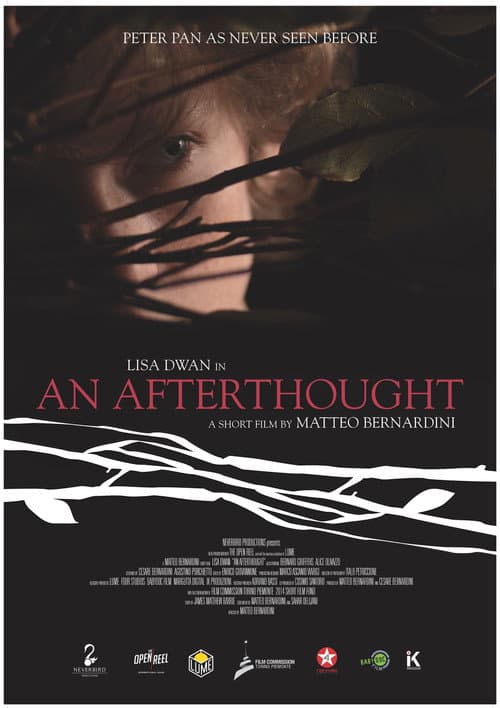 An Afterthought (2016) poster