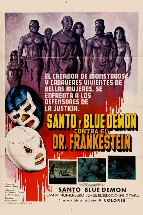 Santo y Blue Demon contra el doctor Frankenstein (1974) poster