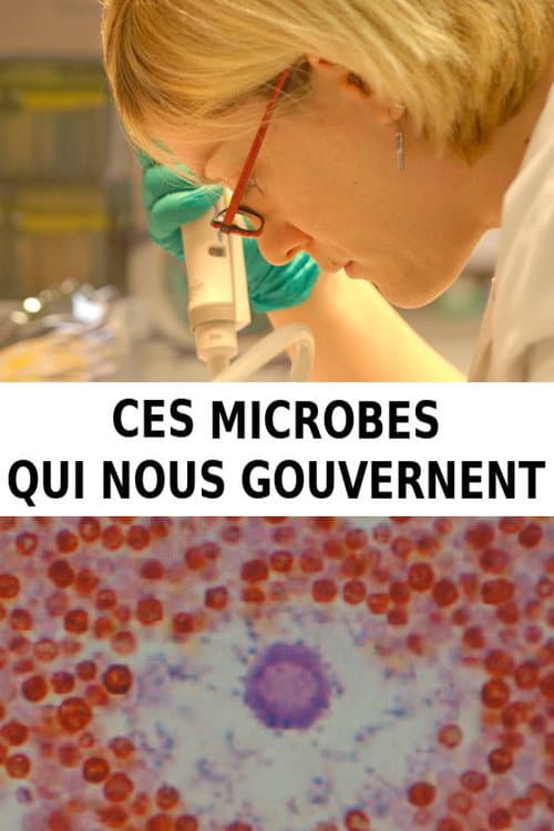 Ces microbes qui nous gouvernent (2016) poster