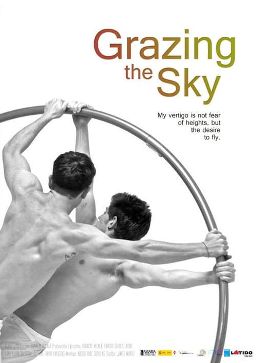 A ras del cielo (2013) poster