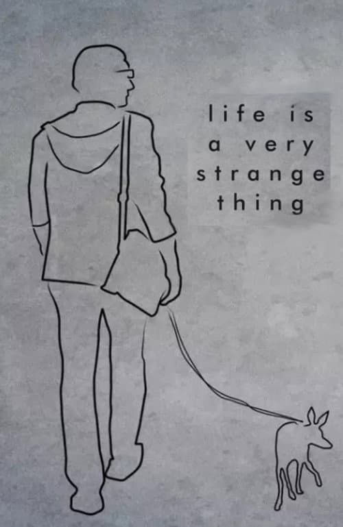 Life is a Very Strange Thing (2017) poster