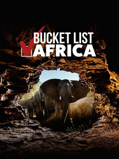Bucket List: Africa (2021) poster