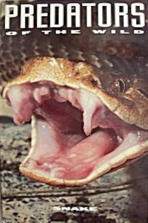 Predators of the Wild: Snake (1993) poster
