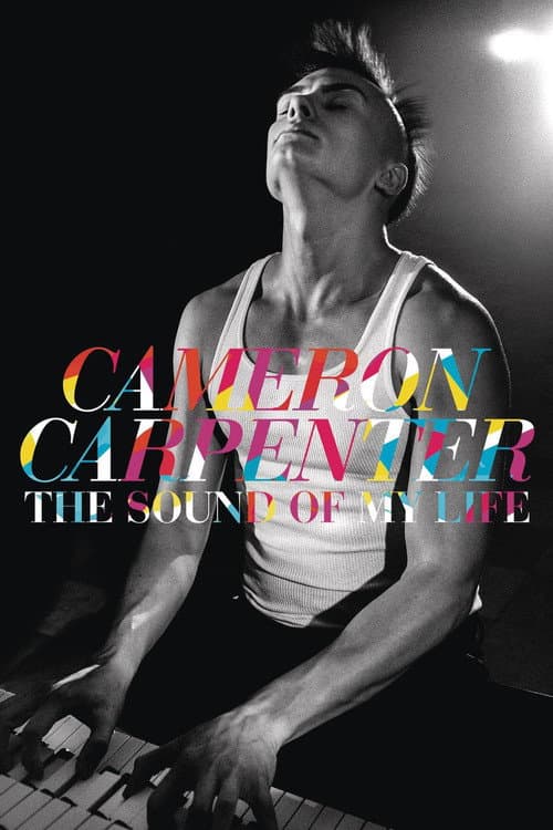The Sound of My Life (2014) poster