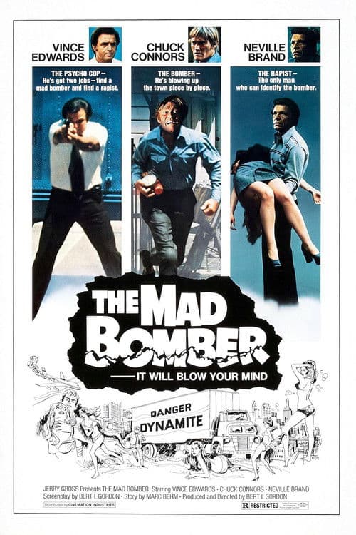 The Mad Bomber (1973) poster