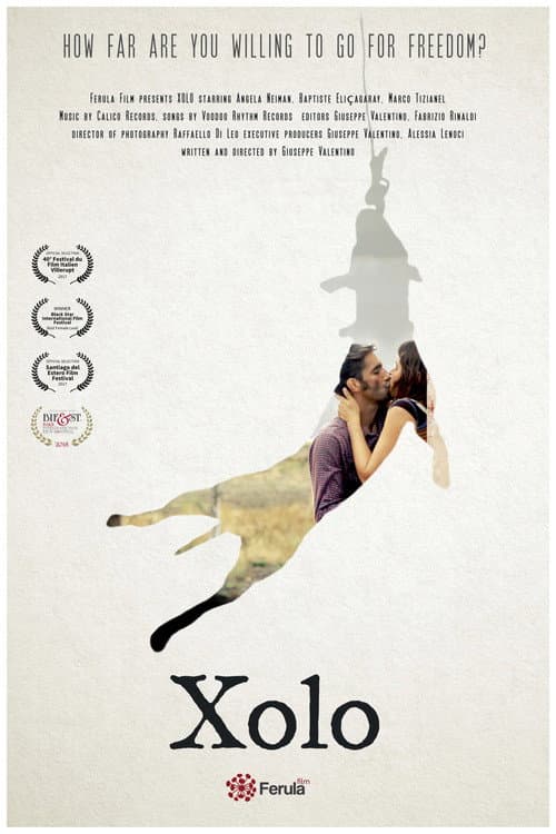 Xolo (2017) poster