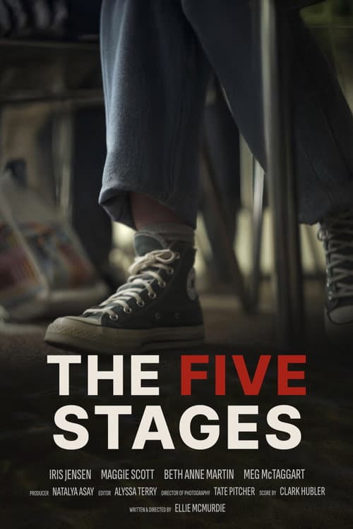 The Five Stages (2025) poster