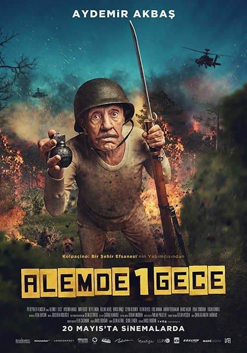 Alemde Bir Gece (2016) poster