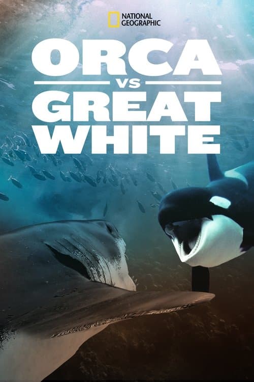 Orca Vs Witte Haai (2021) poster