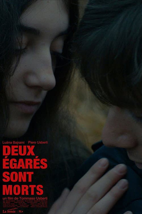 Deux égarés sont morts (2017) poster