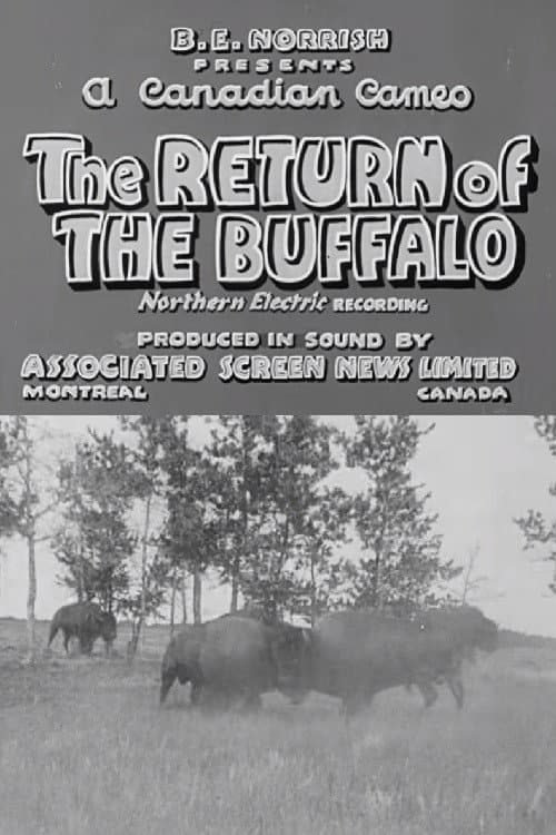 Return of the Buffalo (1938) poster