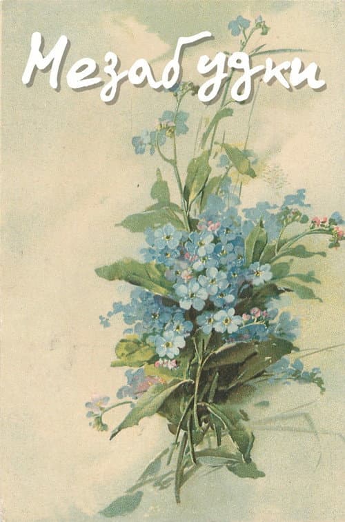 Незабудки (1994) poster