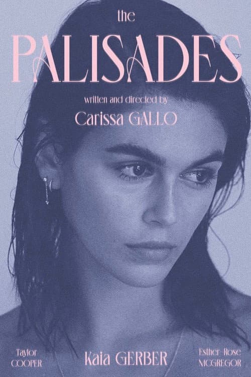 The Palisades (2022) poster