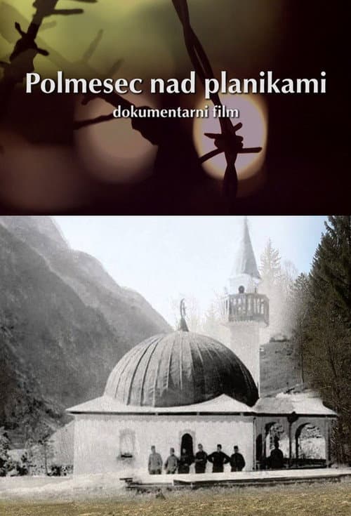 Polmesec nad planikami (2013) poster
