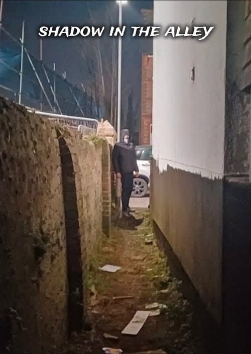 Shadow in the alley (2025) poster