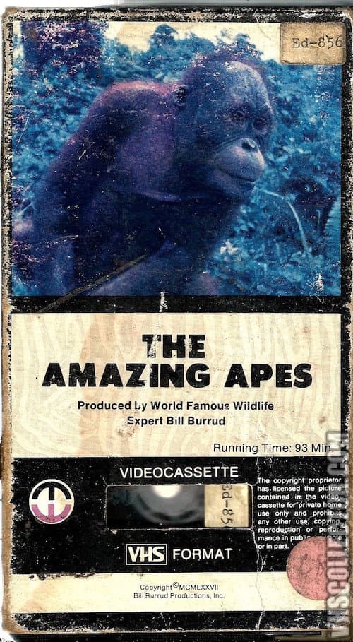 The Amazing Apes (1983) poster