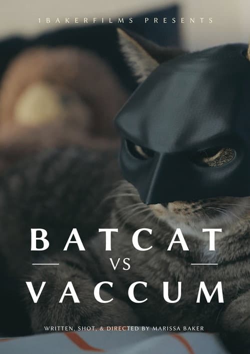BatCat vs Vacuum (2024) poster