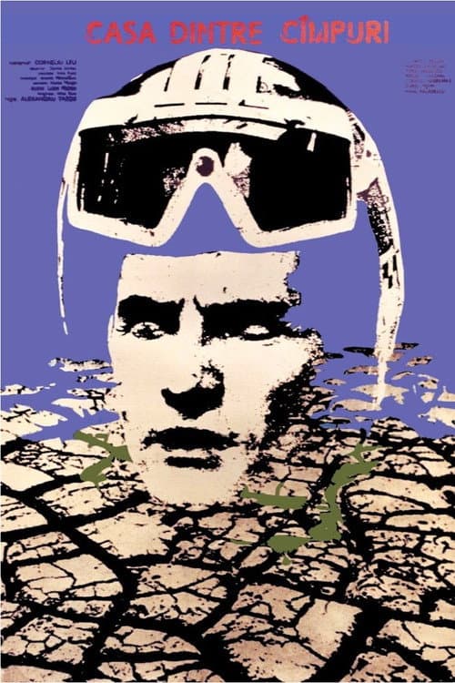 Casa dintre cîmpuri (1980) poster