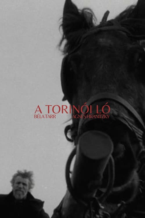 A torinói ló (2011) poster