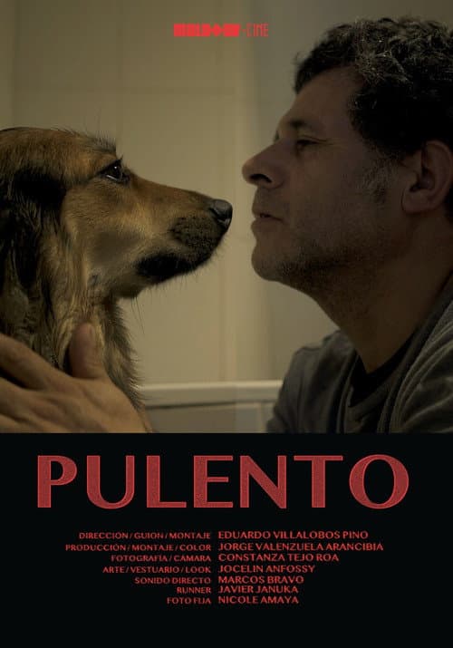 Pulento (2021) poster
