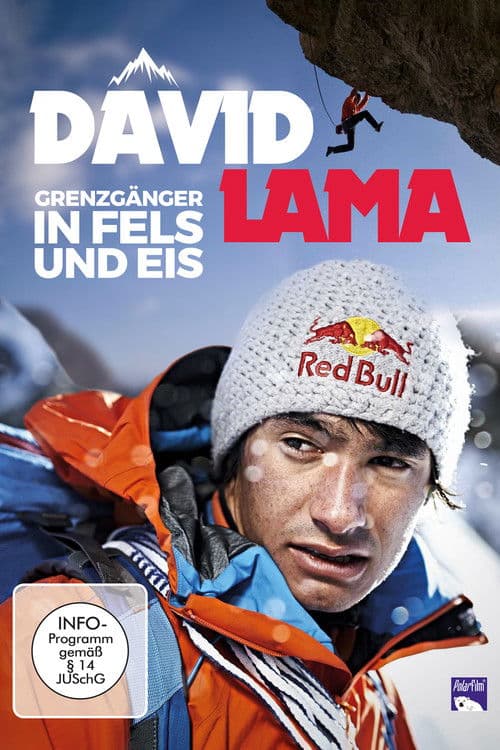 David Lama - Das unmögliche möglich machen (2014) poster