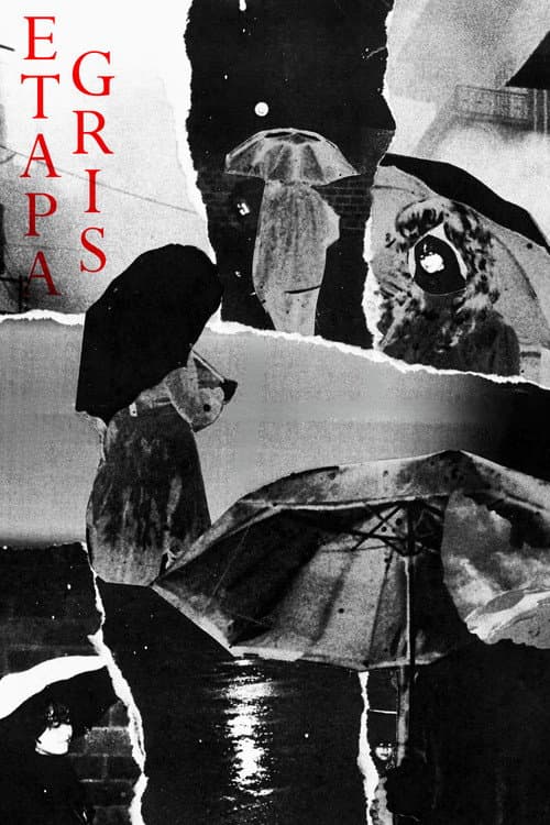 Etapa Gris (2026) poster
