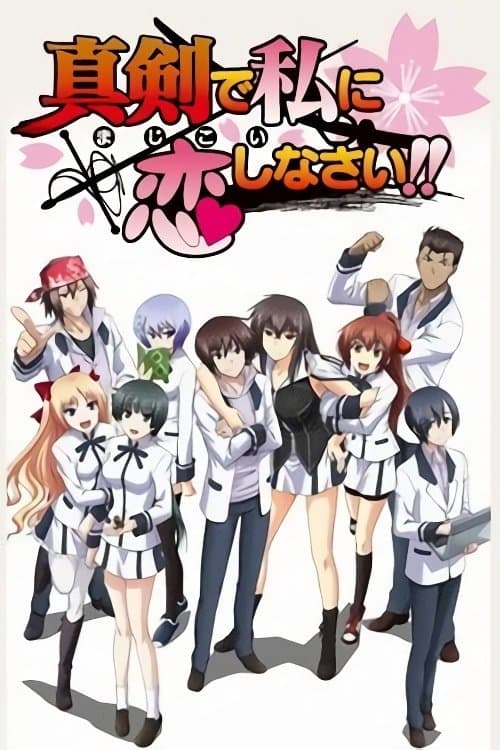 真剣で私に恋しなさい!! (2011) poster