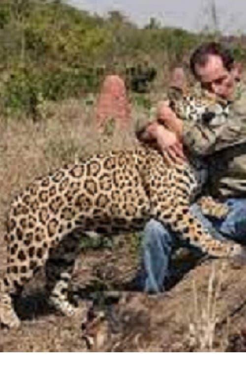 Jaguars, nés pour être libres (2012) poster