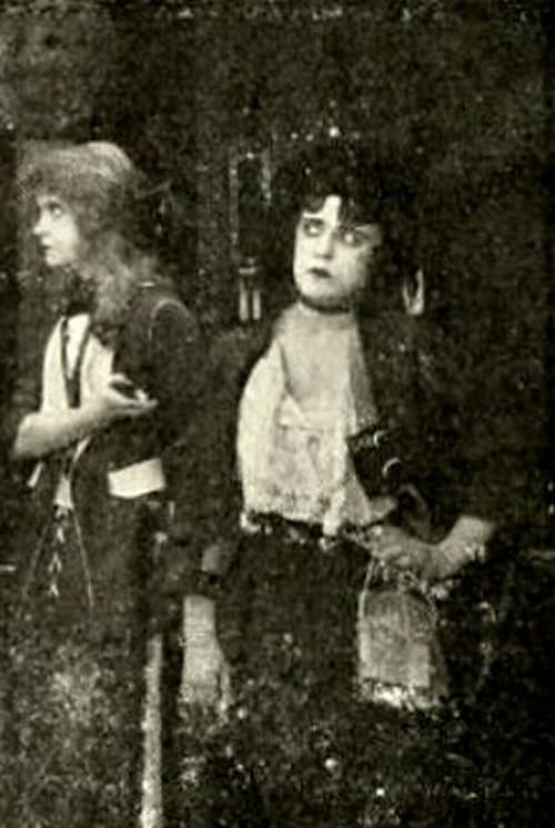 The Battle of the Sexes (1914) poster