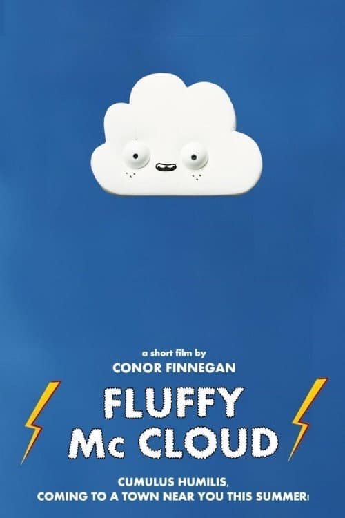 Wollie de wolk (2010) poster