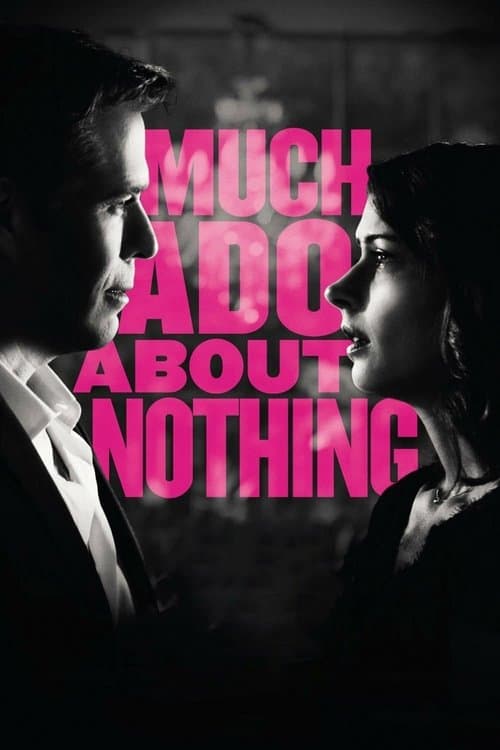 Much Ado About Nothing (2013) poster
